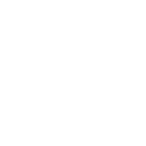 Local SEO icon