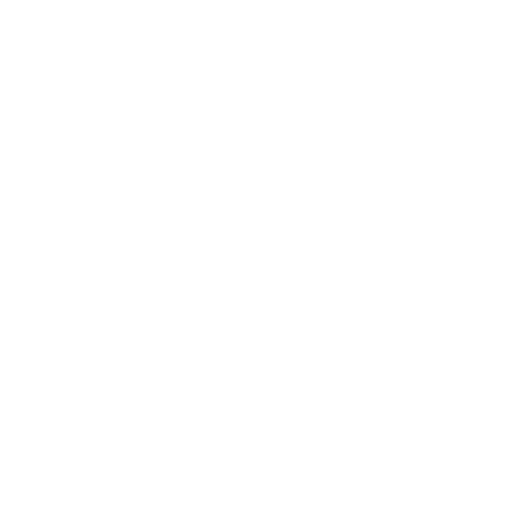 Search Engine Optimization (SEO) icon