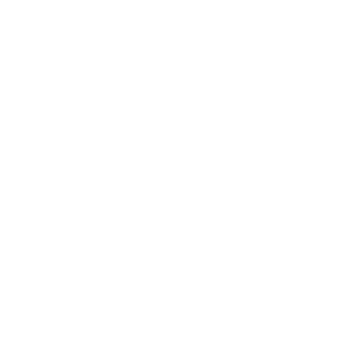 Google Maps Optimization icon