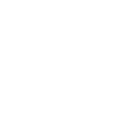 Paid Social Media Advertising icon